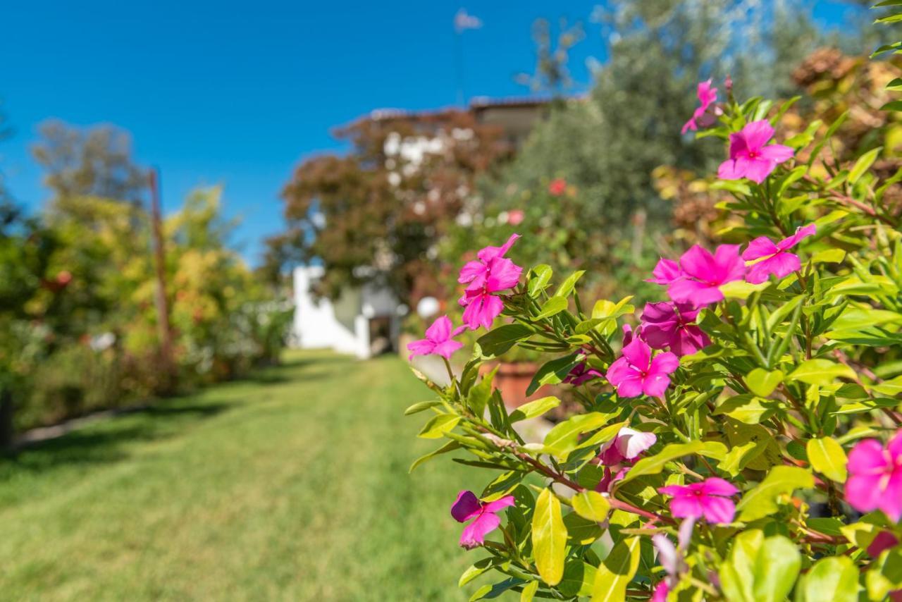 Blooming Memories Apartamento Vourvourou Exterior foto